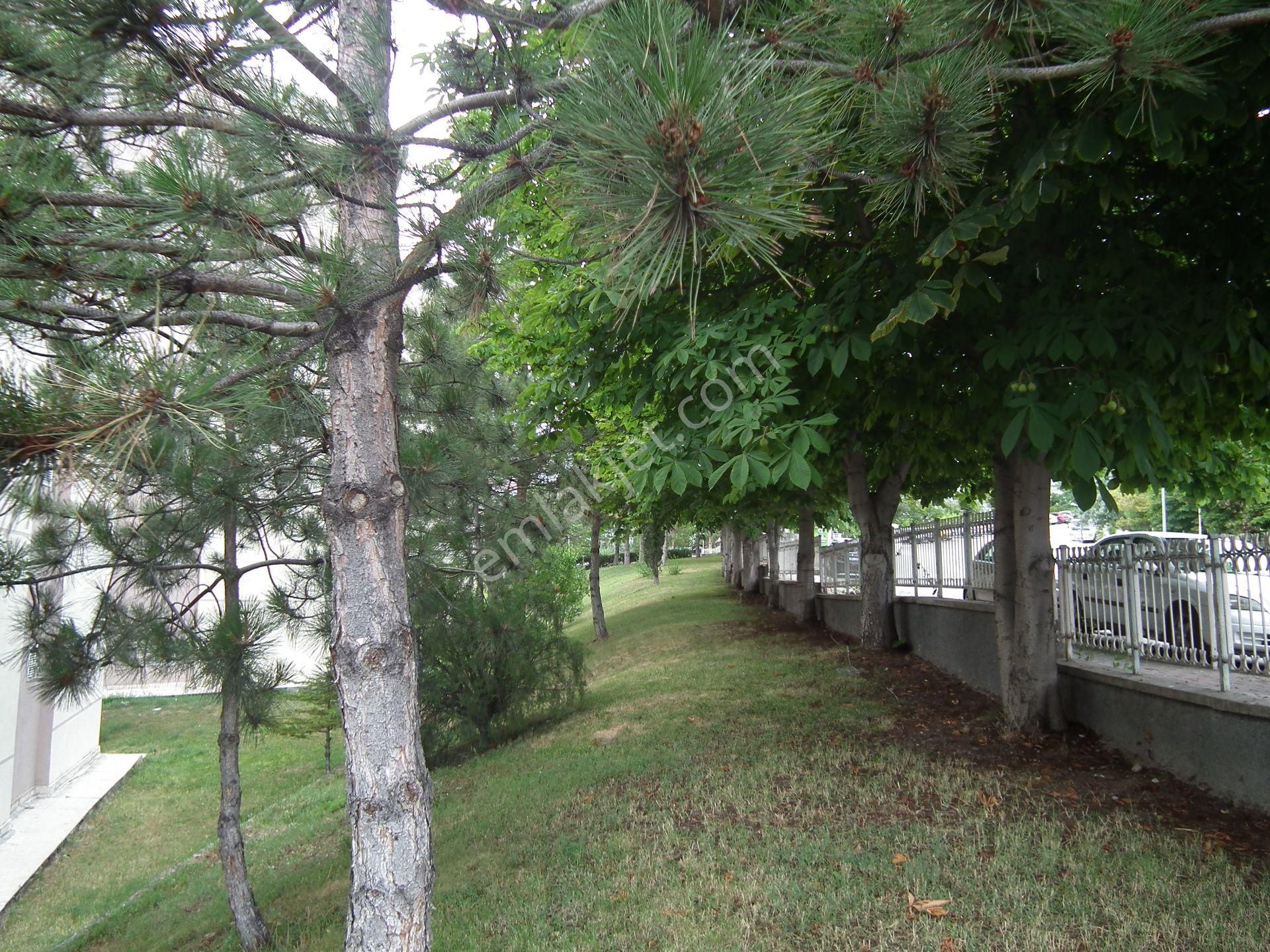 Batıkent Meydan/metro Yanı-2'nci Kat-3+1-110 M2- Kiralık Daire - Görsel 34