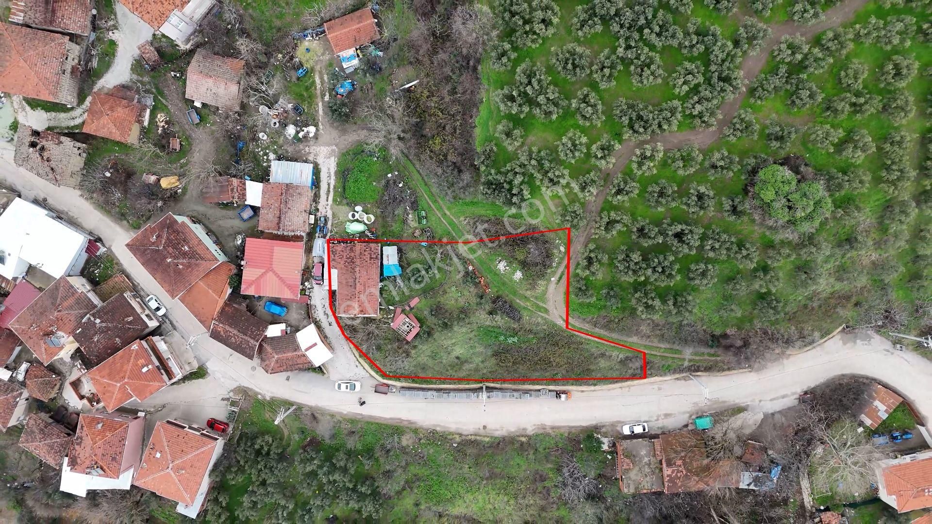 C21 Cius; Katırlı Da Köy İçi İmarlı Satılık Arsa