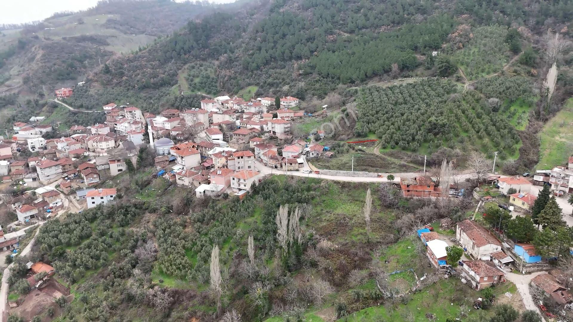 C21 Cius; Katırlı Da Köy İçi İmarlı Satılık Arsa - Görsel 8