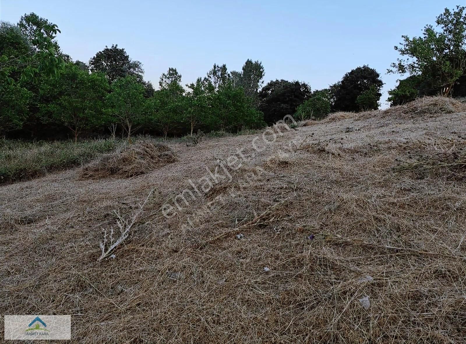 Bursa İznik Bayındır Mahallesi Asfalt Yol Cepheli 6.370 M2 - Görsel 4