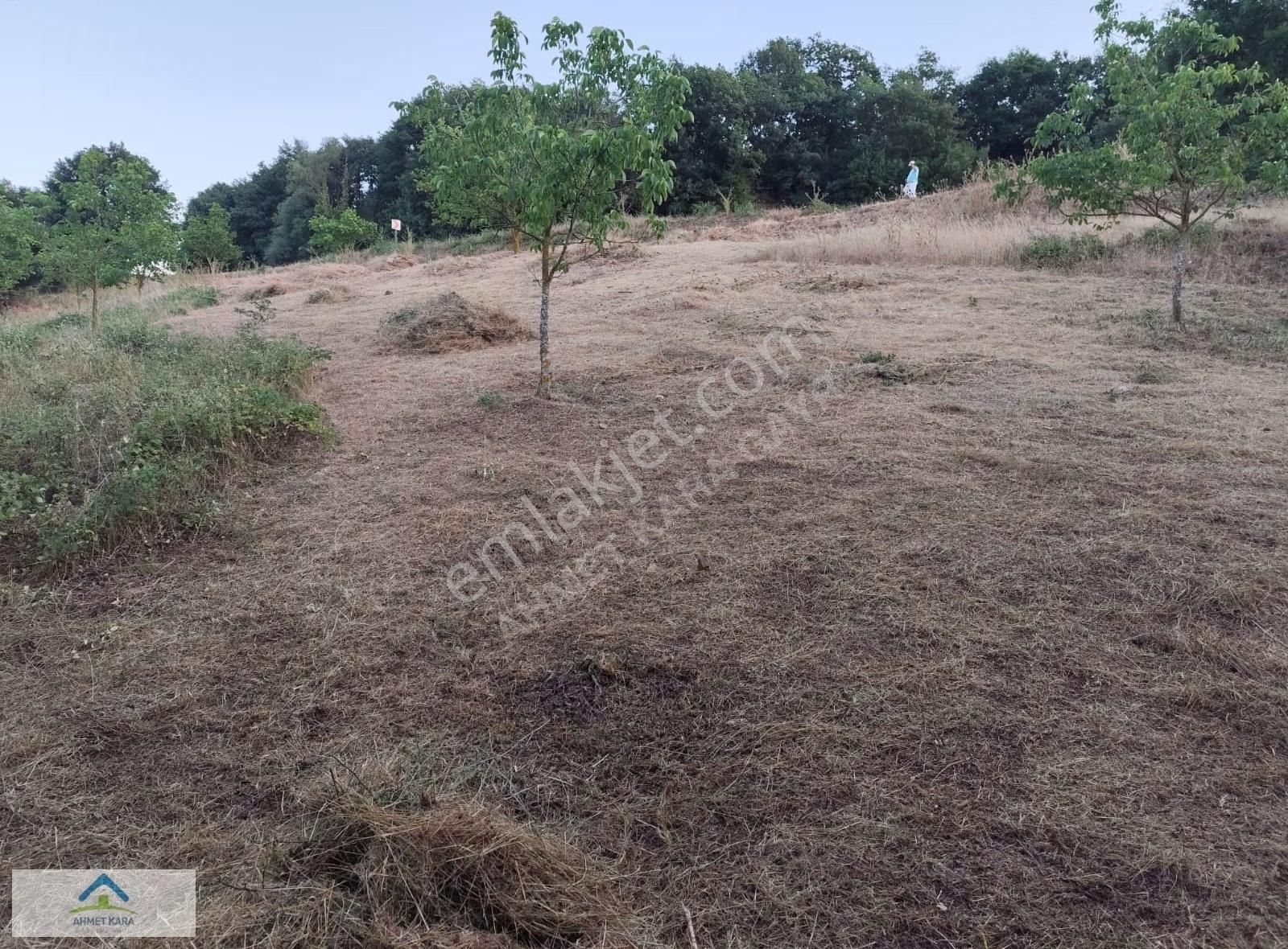 Bursa İznik Bayındır Mahallesi Asfalt Yol Cepheli 6.370 M2