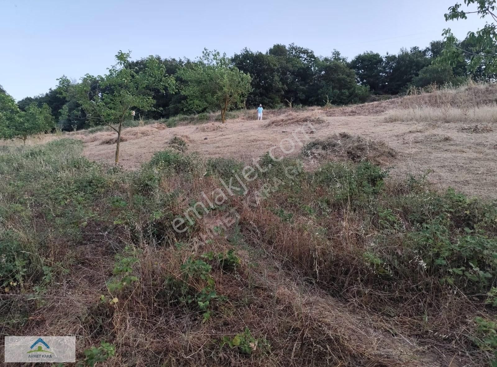 Bursa İznik Bayındır Mahallesi Asfalt Yol Cepheli 6.370 M2 - Görsel 9