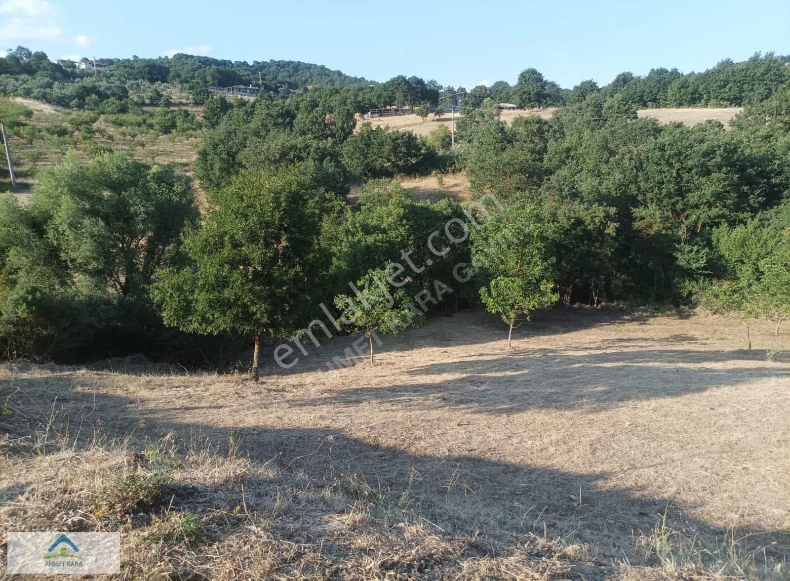 Bursa İznik Bayındır Mahallesi Asfalt Yol Cepheli 6.370 M2 - Görsel 5