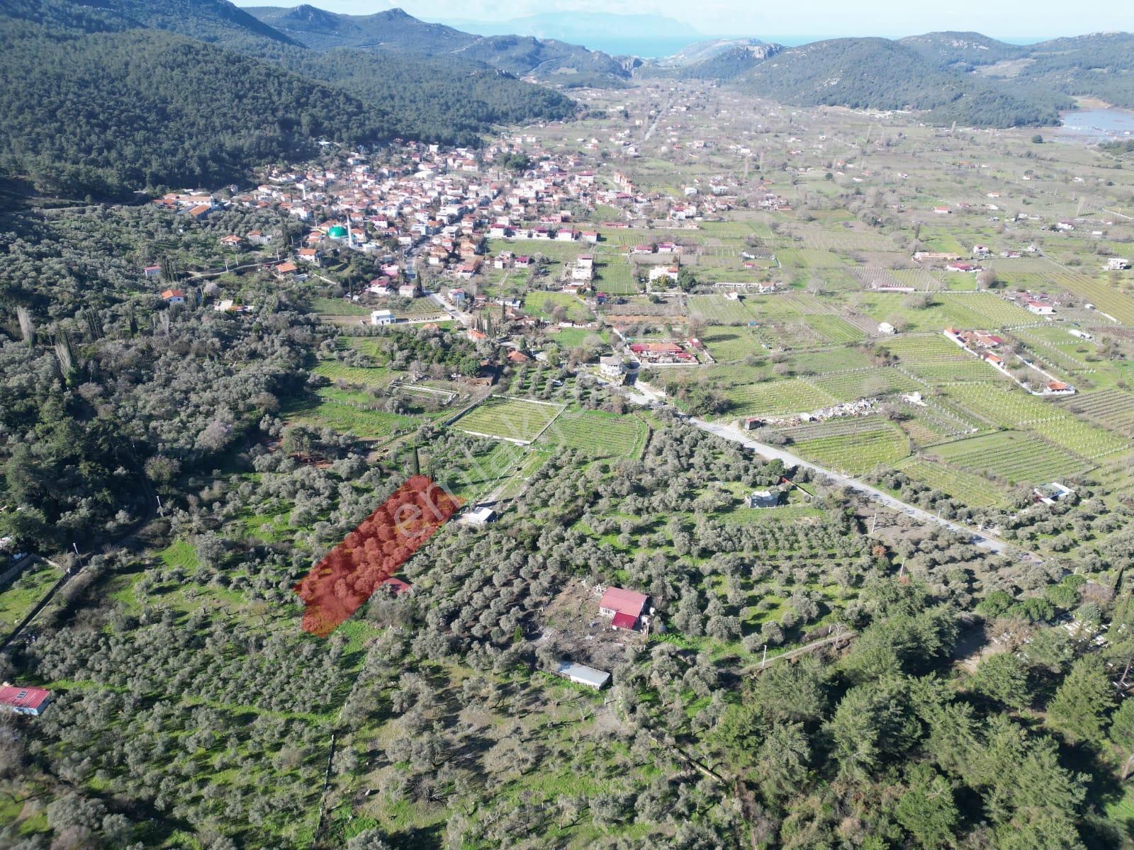 Kuşadası Kirazlıda Harika Bahçe
