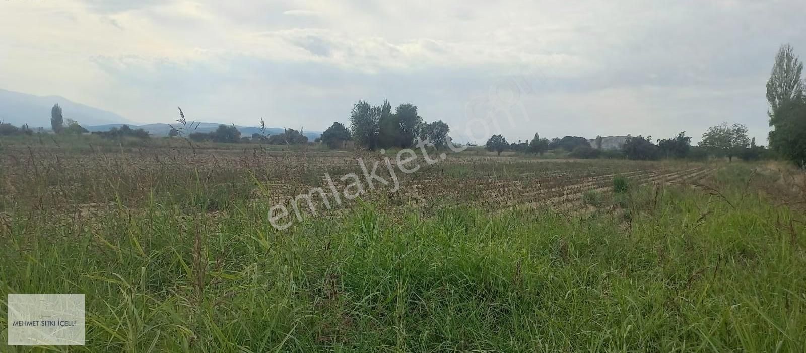 Güneş Gayrimenkul'den 10.300 M² Çatal Mevkiinde Evi Damı Mevcut - Görsel 3