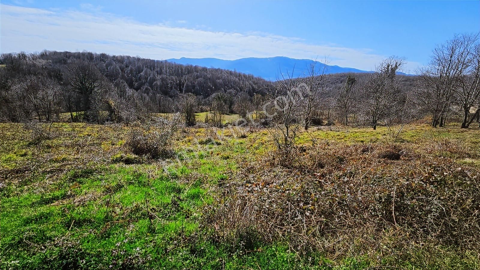 Ketencilerde Satılık İmarlı Tarla - Görsel 23
