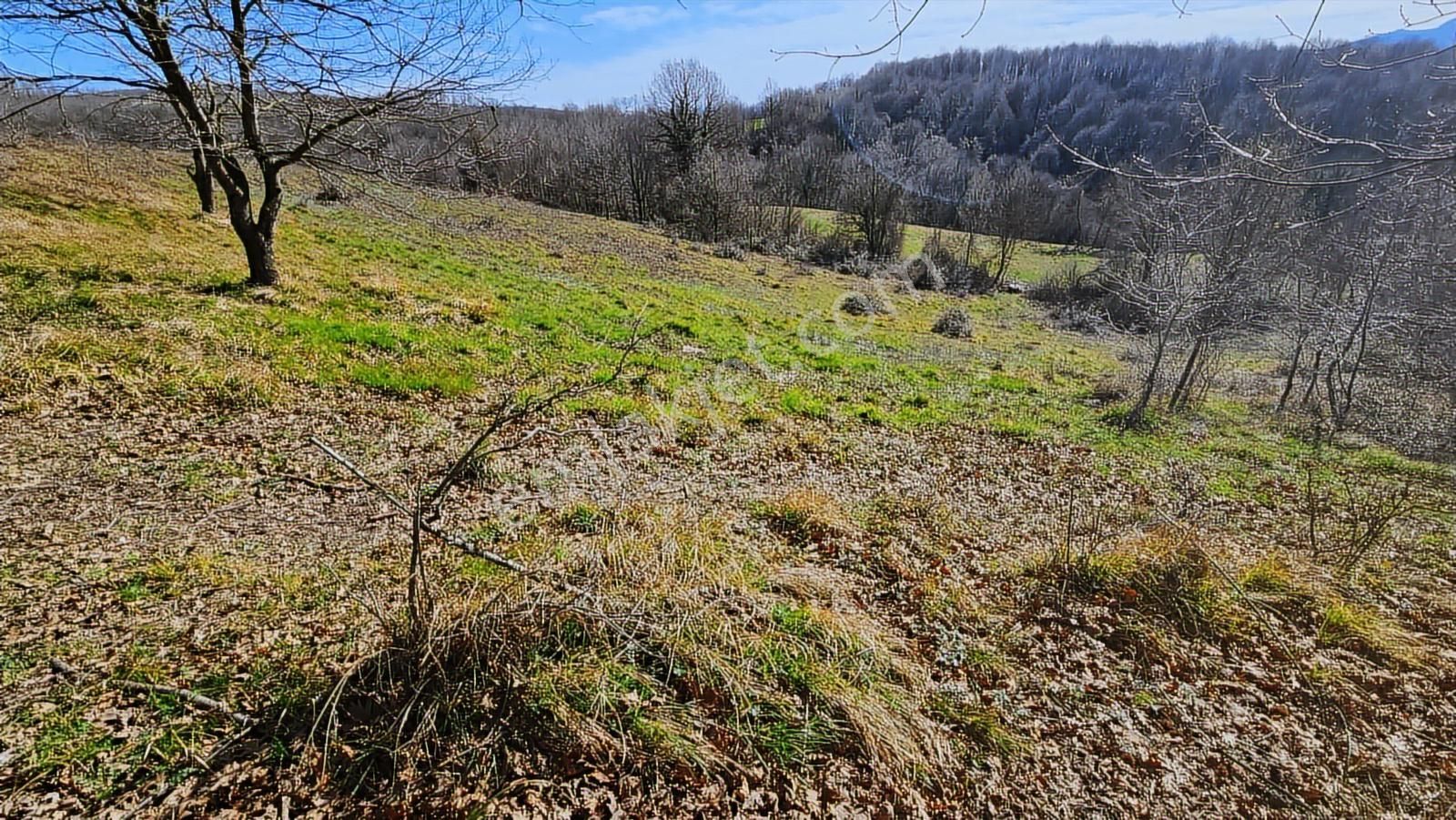 Ketencilerde Satılık İmarlı Tarla - Görsel 9