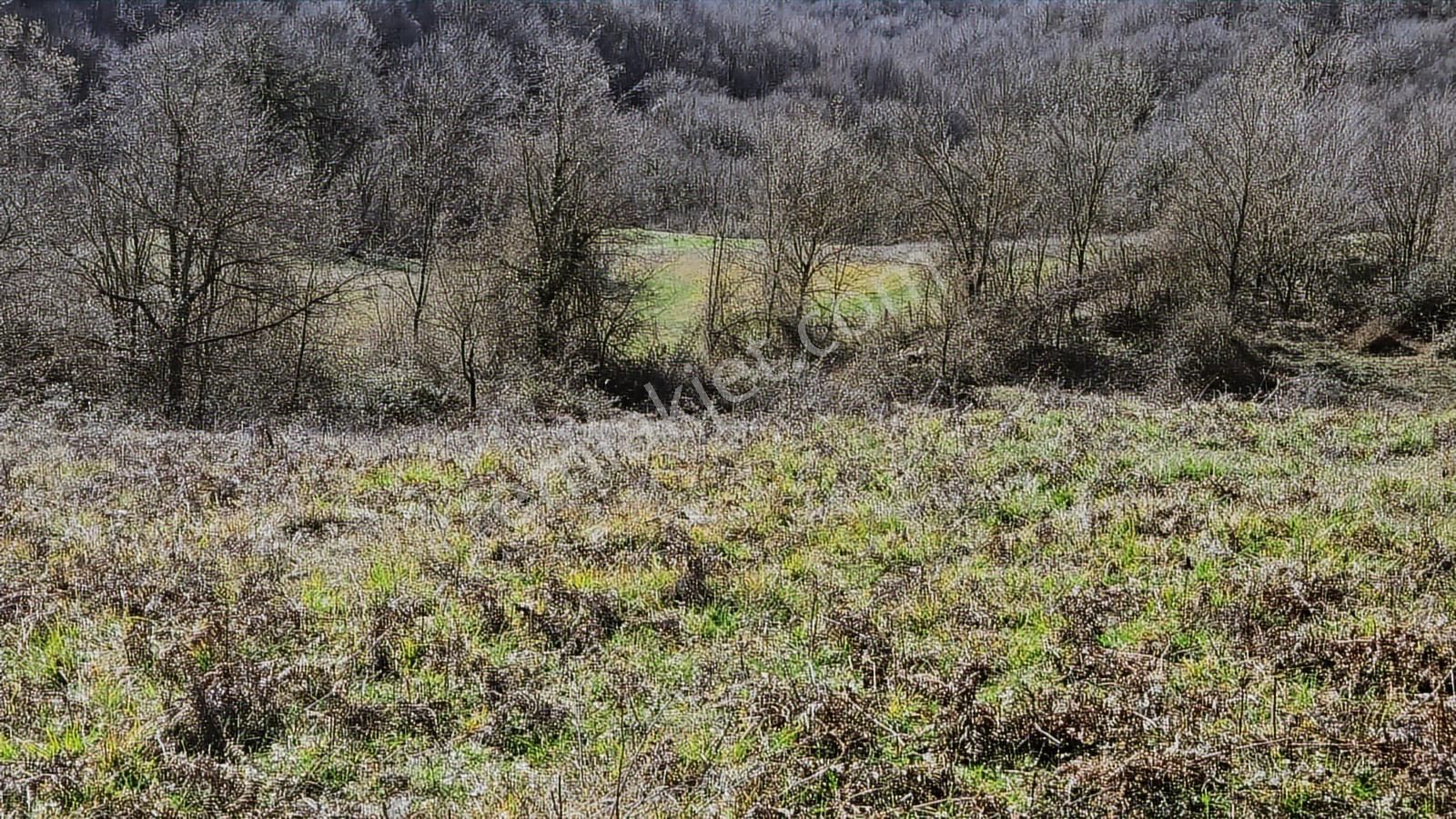 Ketencilerde Satılık İmarlı Tarla - Görsel 2