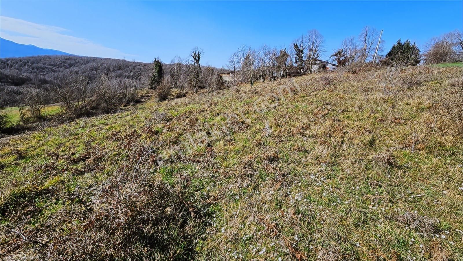 Ketencilerde Satılık İmarlı Tarla - Görsel 28