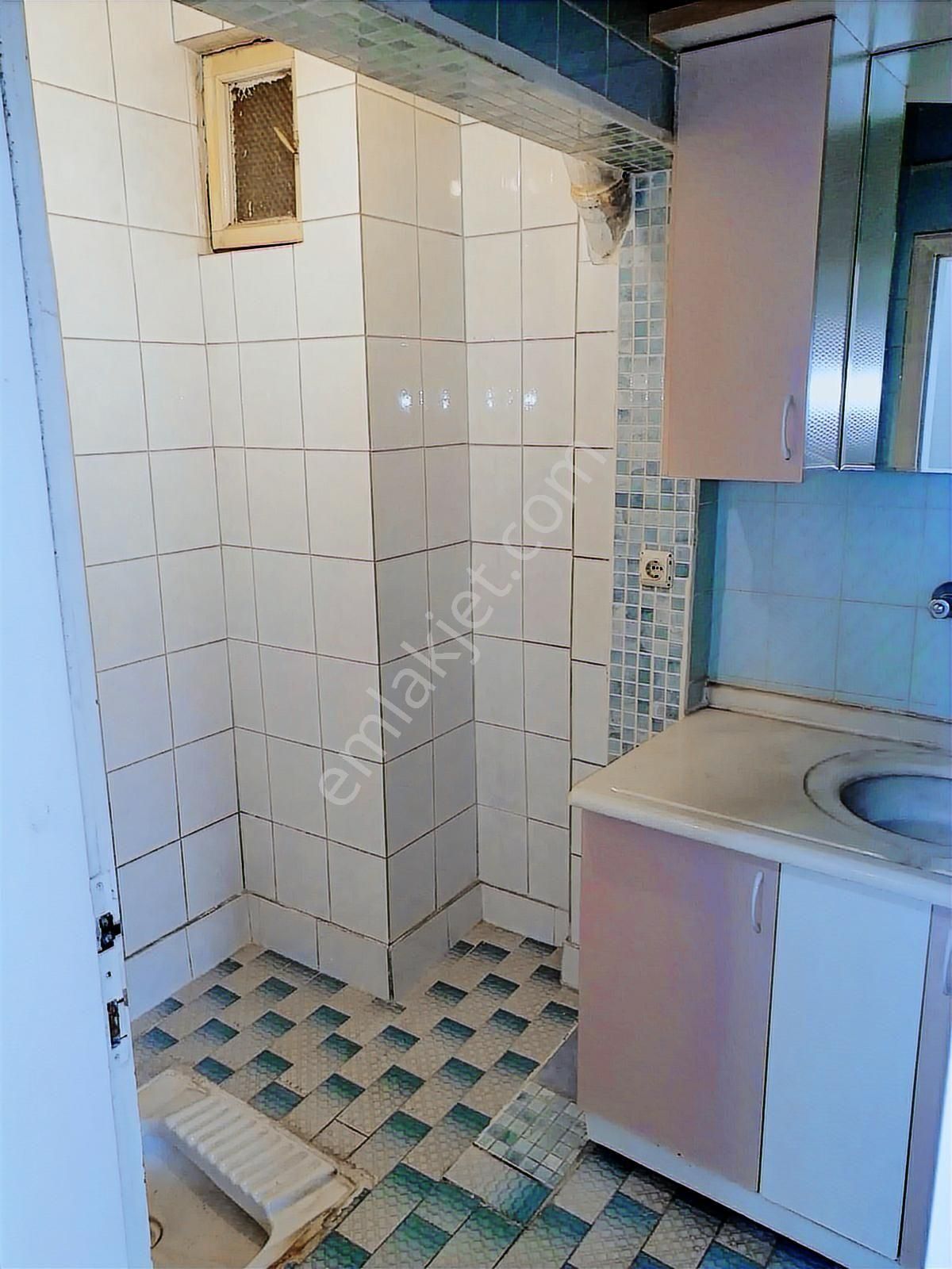 Ara Kat Daire - Görsel 14