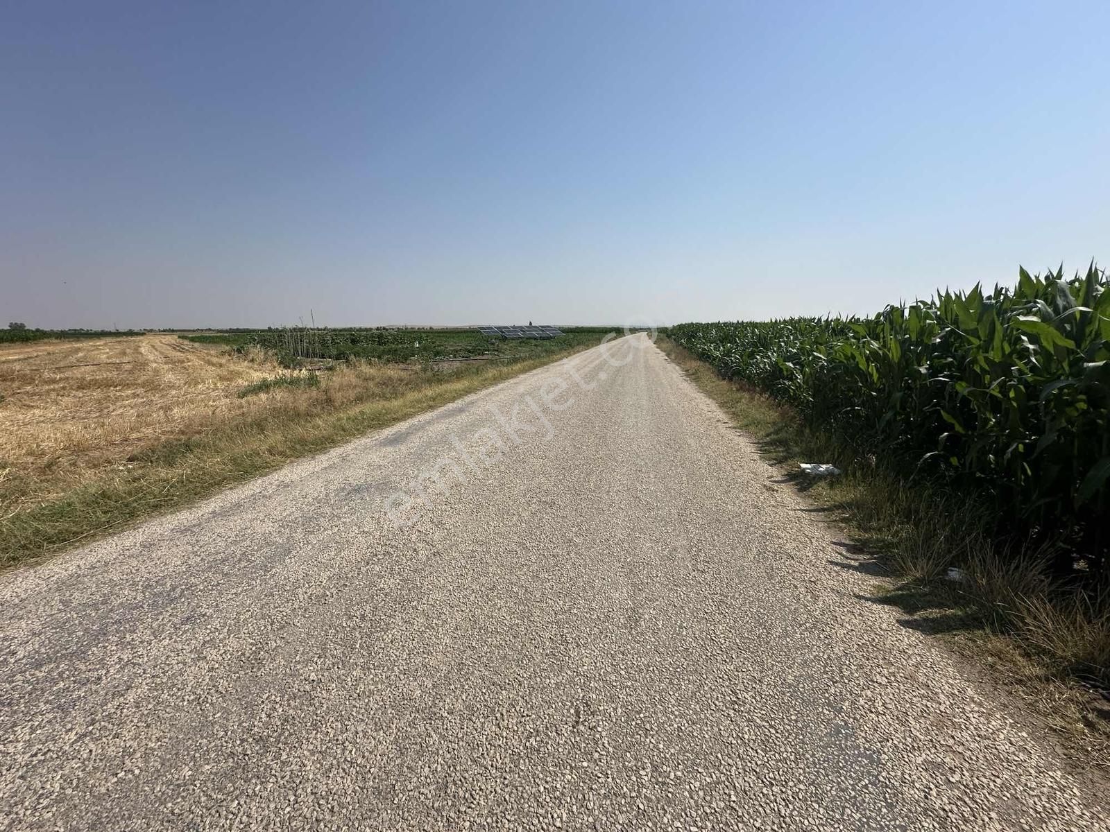 Afyonkarahisar Dazkırı Asfalta Sıfır Konumda3550 M2 - Görsel 5