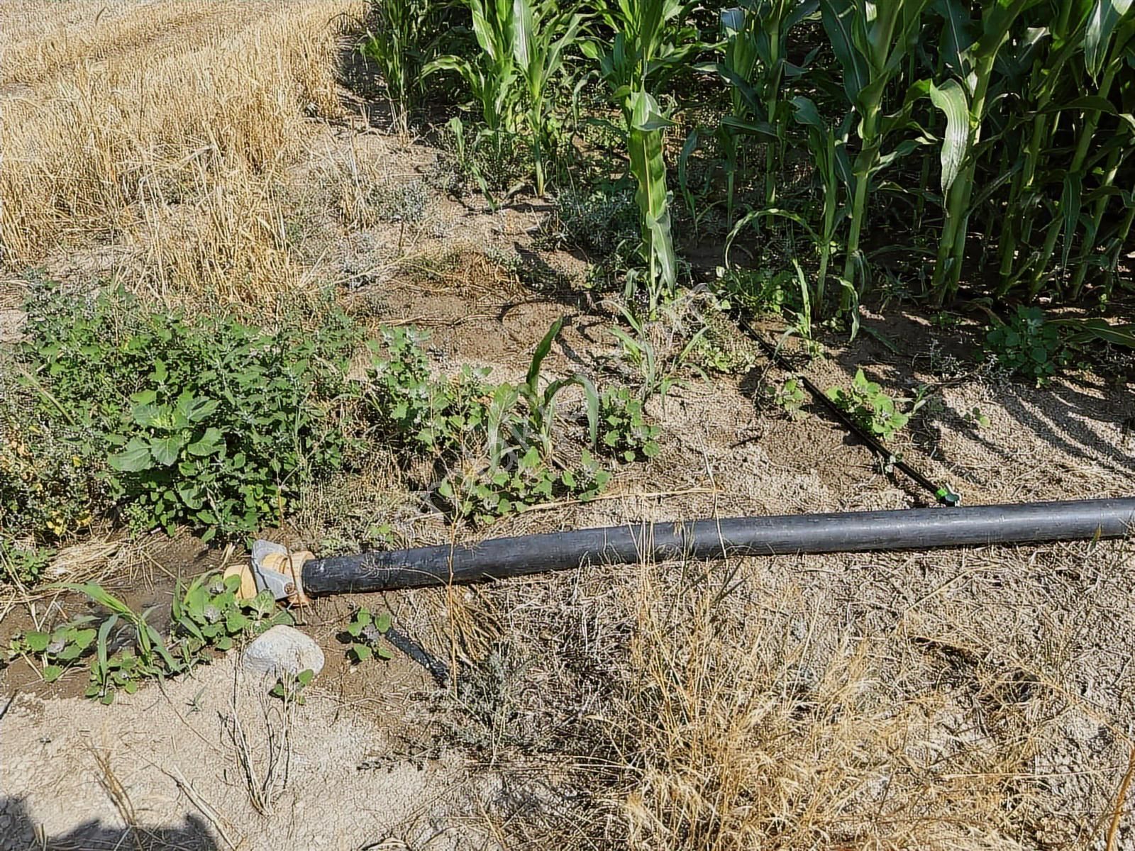 Afyonkarahisar Dazkırı Asfalta Sıfır Konumda3550 M2 - Görsel 14