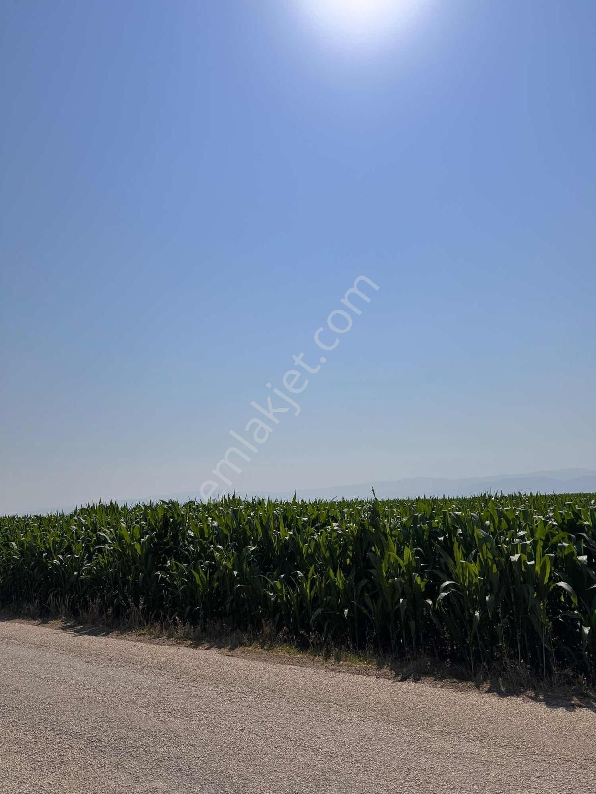 Afyonkarahisar Dazkırı Asfalta Sıfır Konumda3550 M2 - Görsel 22