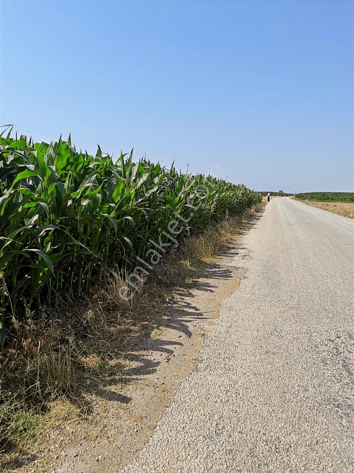 Afyonkarahisar Dazkırı Asfalta Sıfır Konumda3550 M2 - Görsel 9