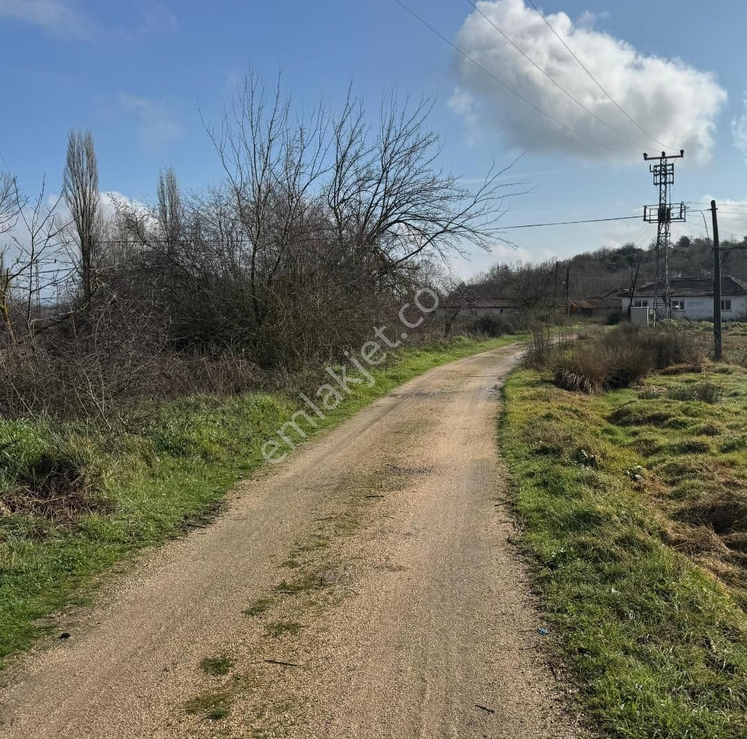 Çanakkale Lapseki Beypınar Köyünde Satılık Arazi - Görsel 2