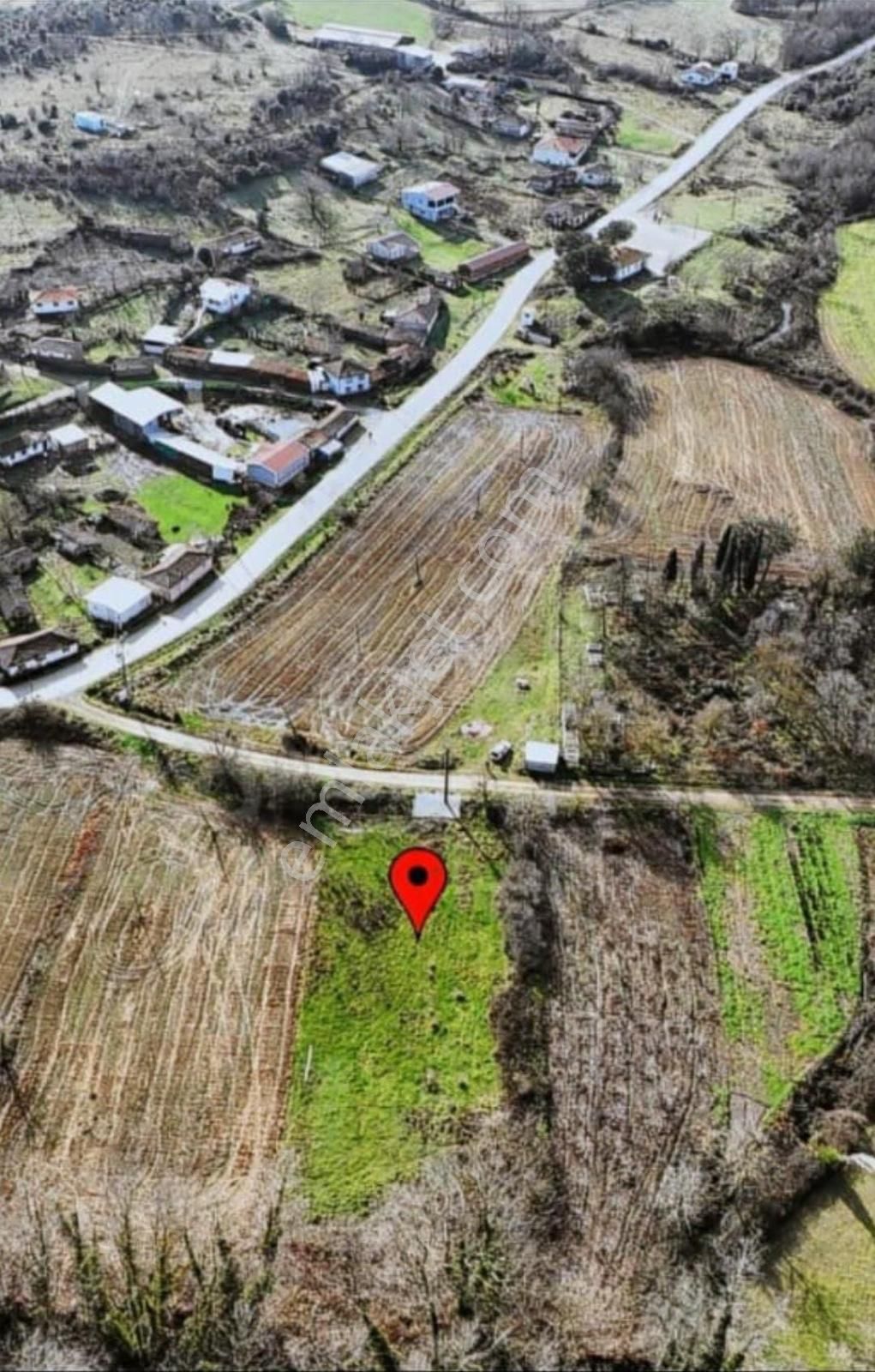 Çanakkale Lapseki Beypınar Köyünde Satılık Arazi