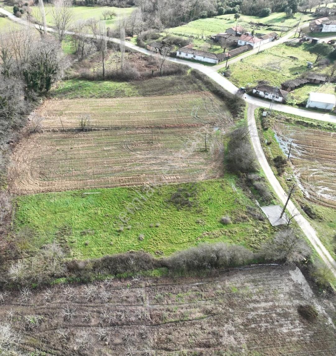 Çanakkale Lapseki Beypınar Köyünde Satılık Arazi - Görsel 7