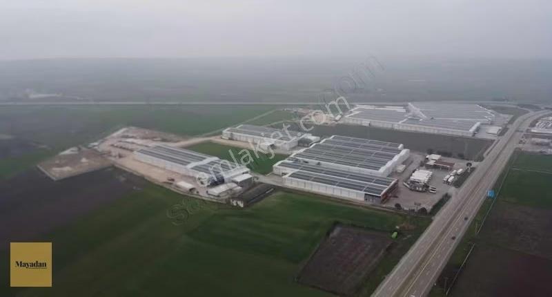 Mayadan Gyo Akçapınarda Depolar Bölgesinde Satılık Tarla - Görsel 7
