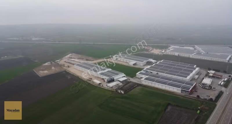 Mayadan Gyo Akçapınarda Depolar Bölgesinde Satılık Tarla - Görsel 5