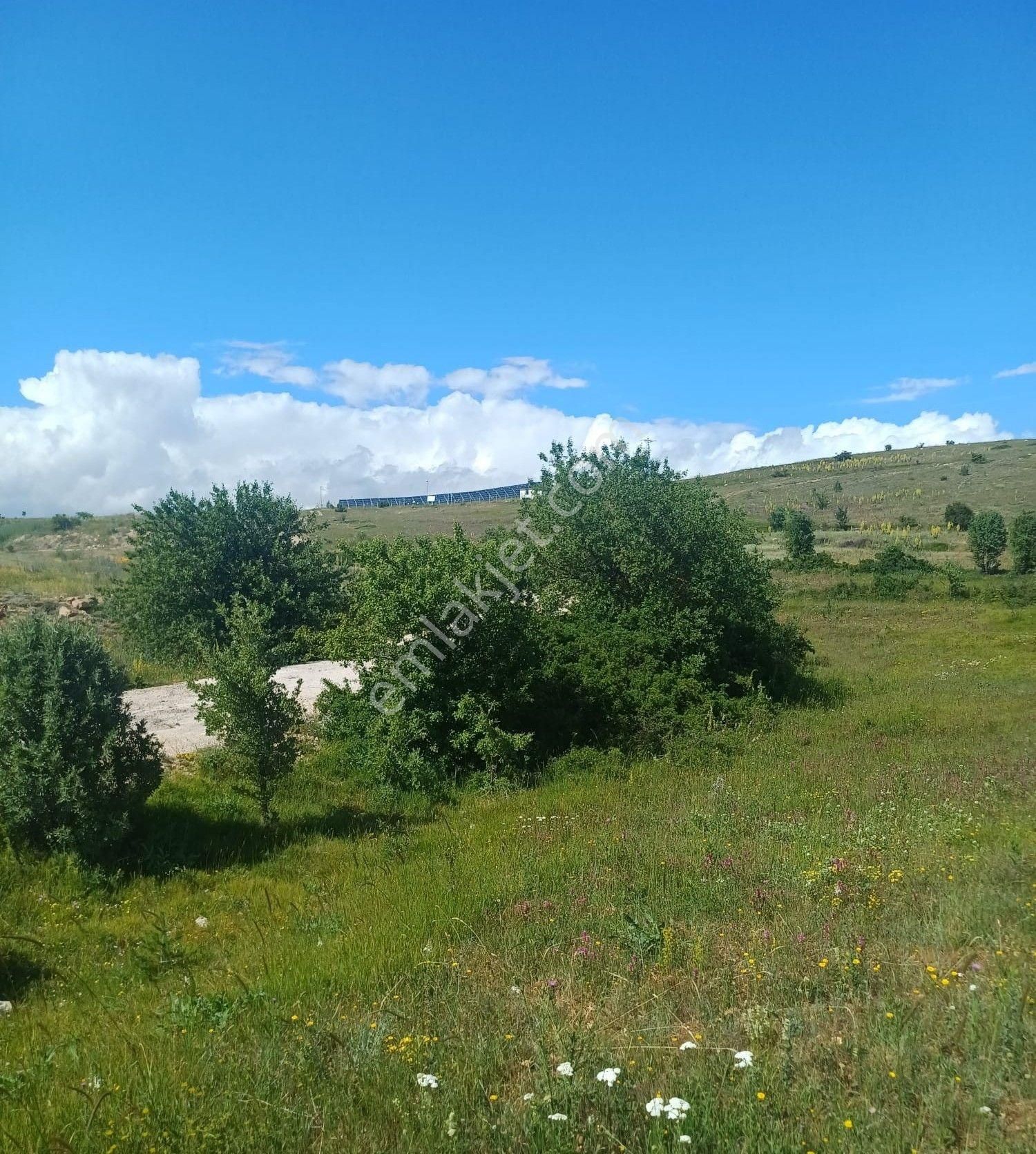 Tokat Reşadiye'de Satılık Tarla