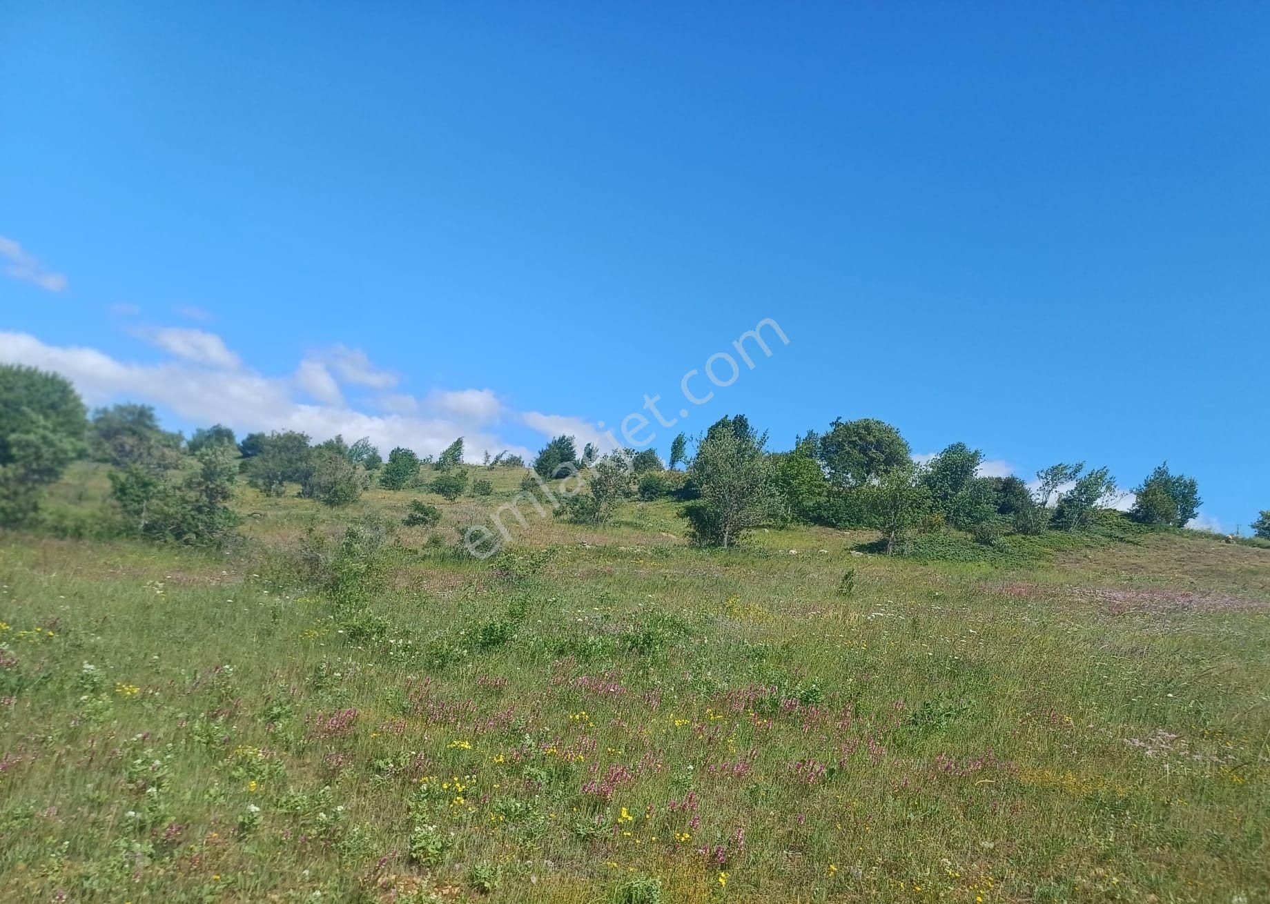 Tokat Reşadiye'de Satılık Tarla - Görsel 14