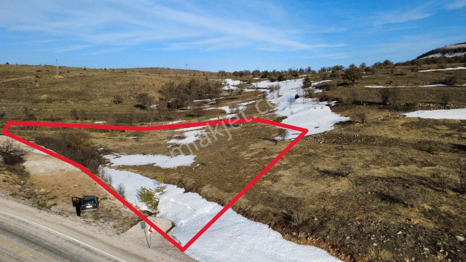 Tokat Reşadiye'de Satılık Tarla - Görsel 2