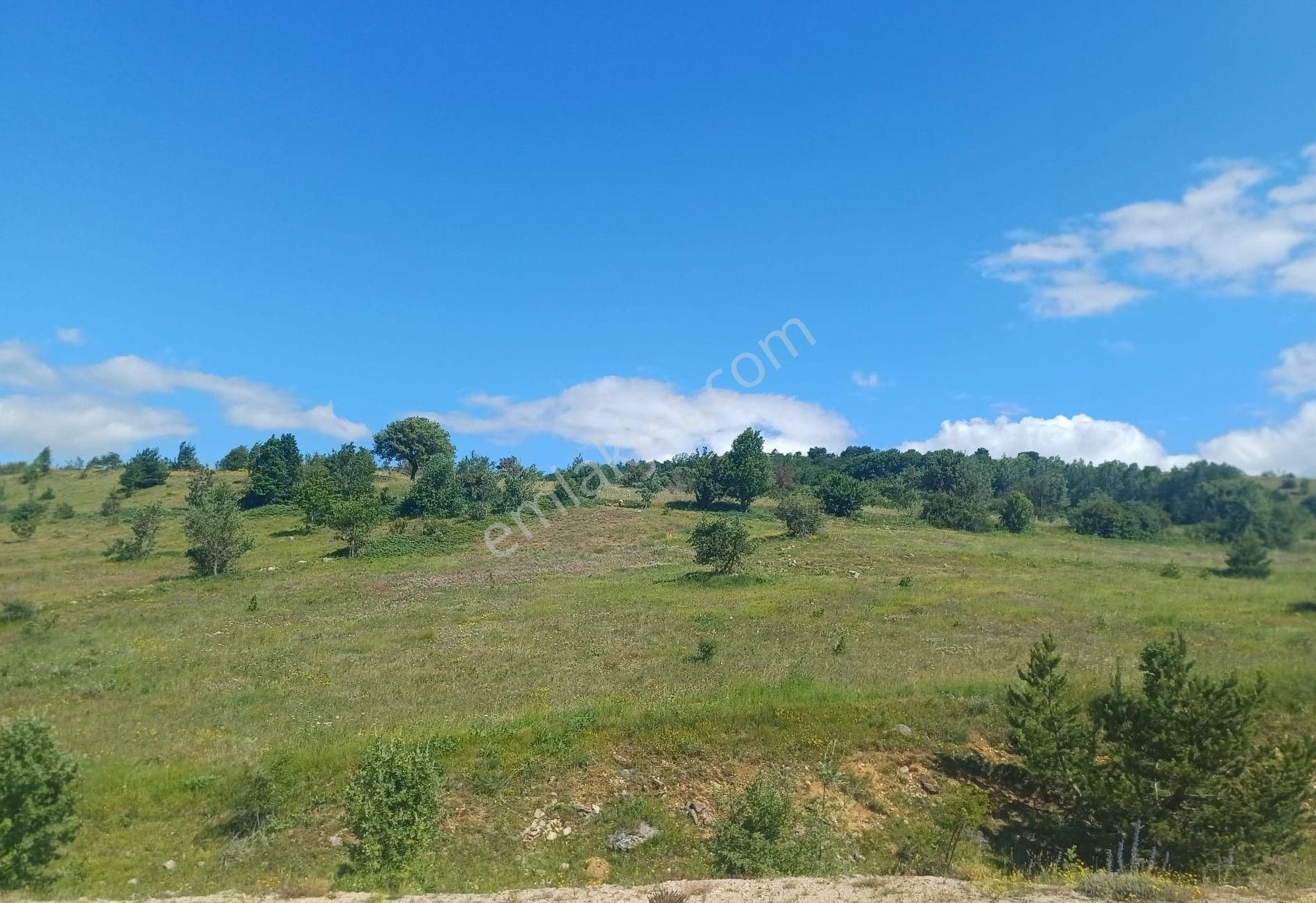 Tokat Reşadiye'de Satılık Tarla - Görsel 4