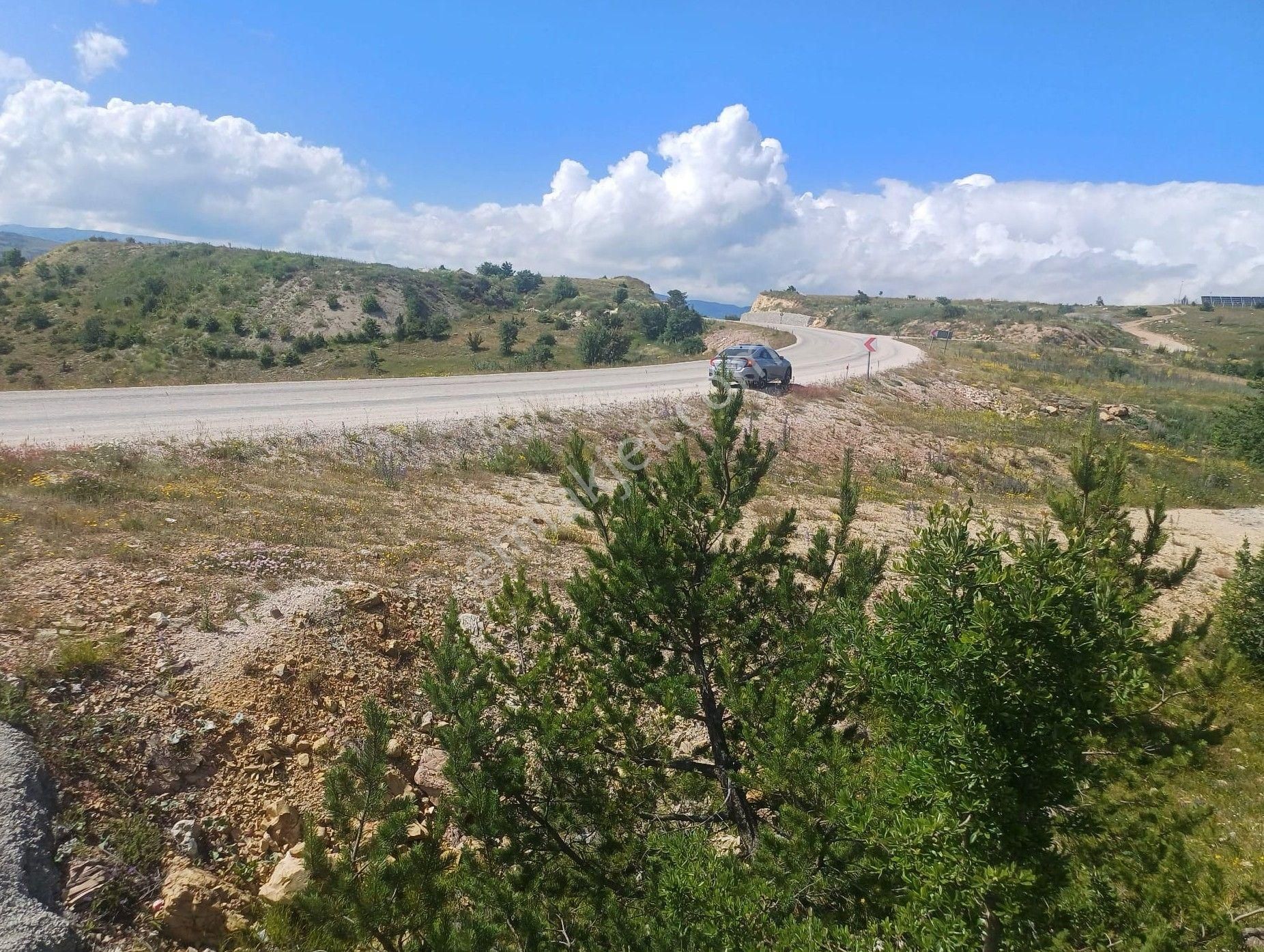 Tokat Reşadiye'de Satılık Tarla - Görsel 33