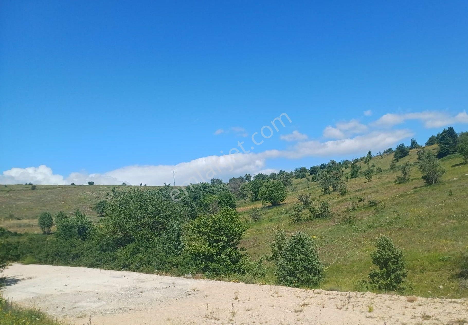 Tokat Reşadiye'de Satılık Tarla - Görsel 11