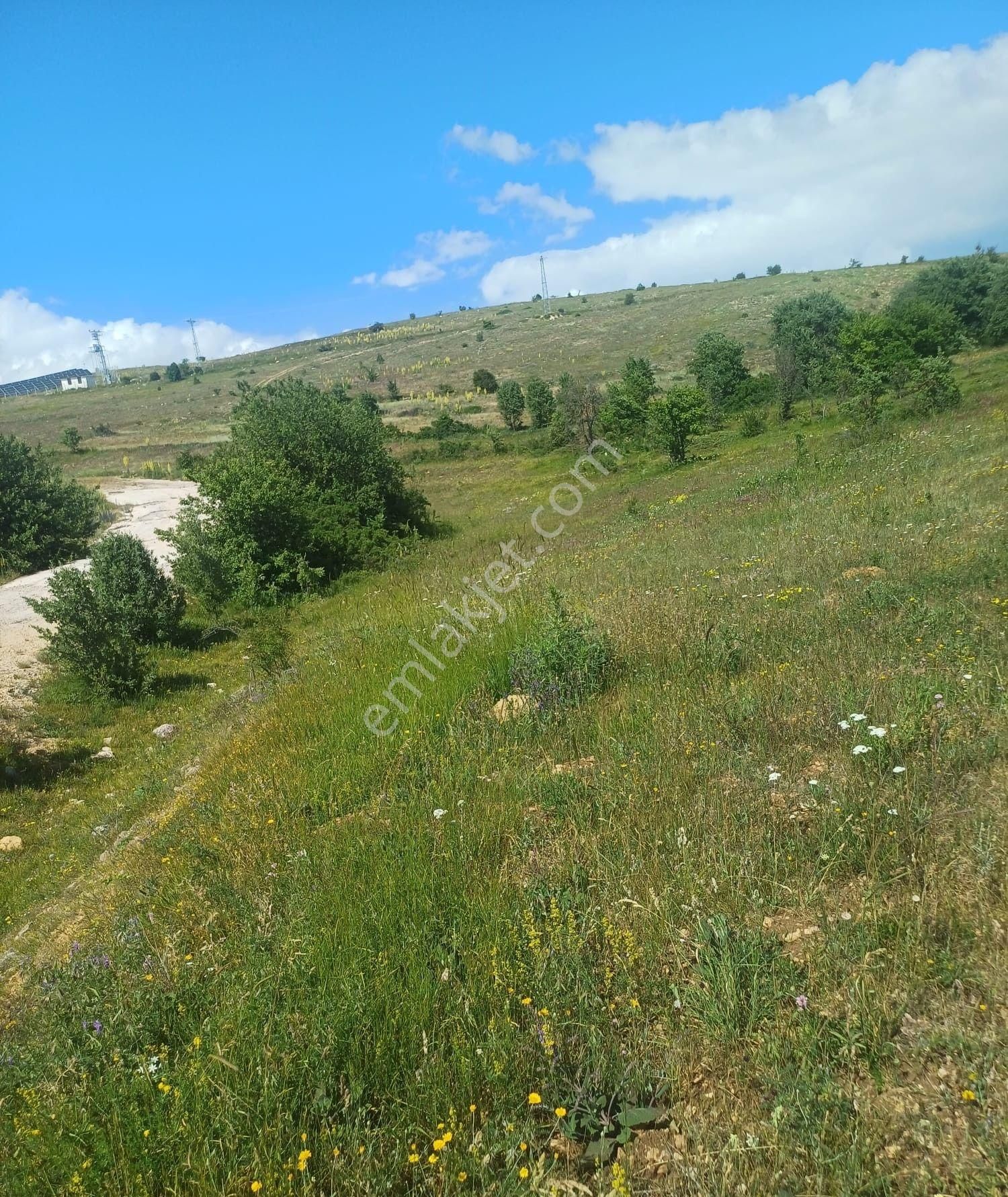 Tokat Reşadiye'de Satılık Tarla - Görsel 17