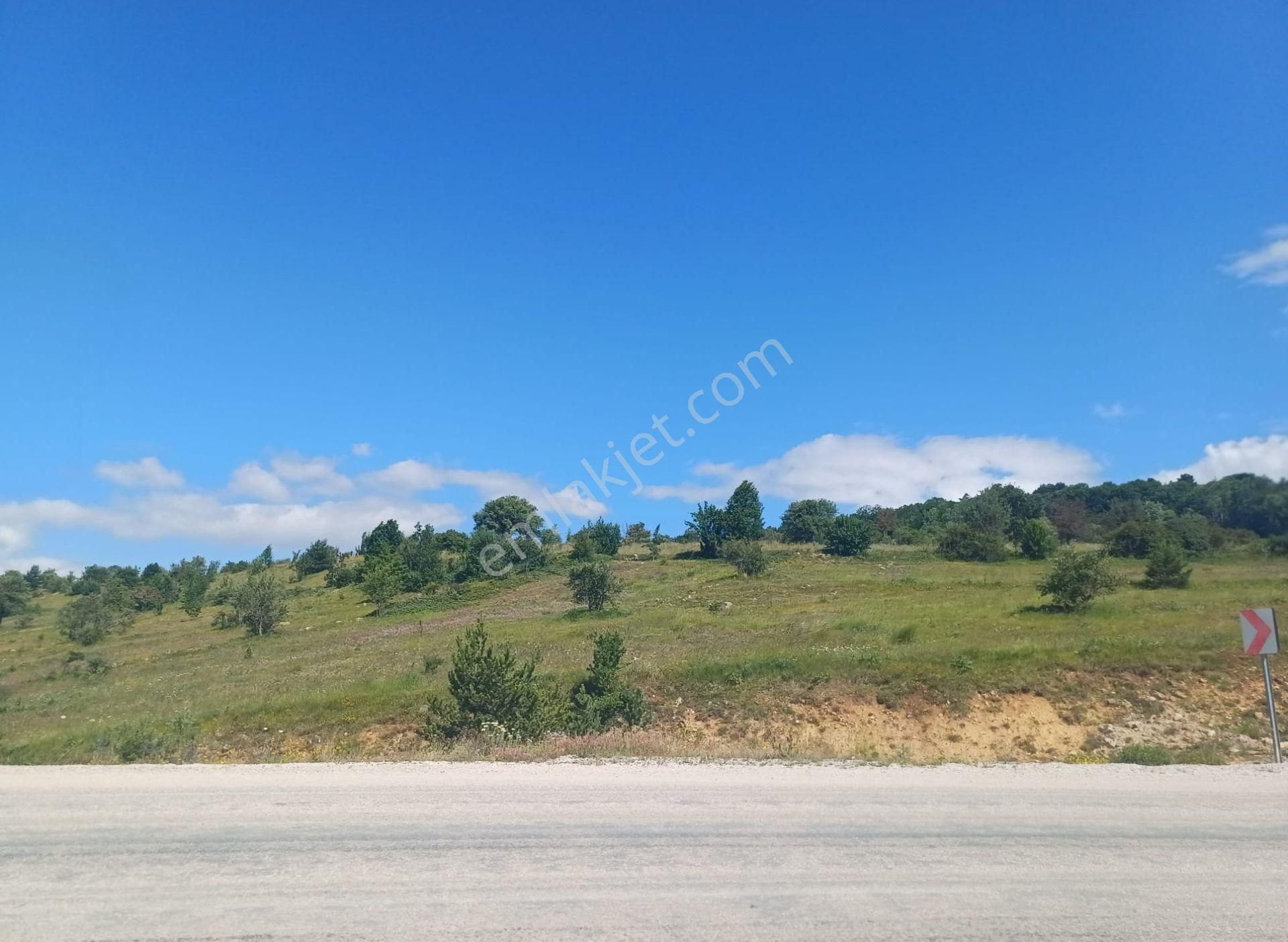 Tokat Reşadiye'de Satılık Tarla - Görsel 34