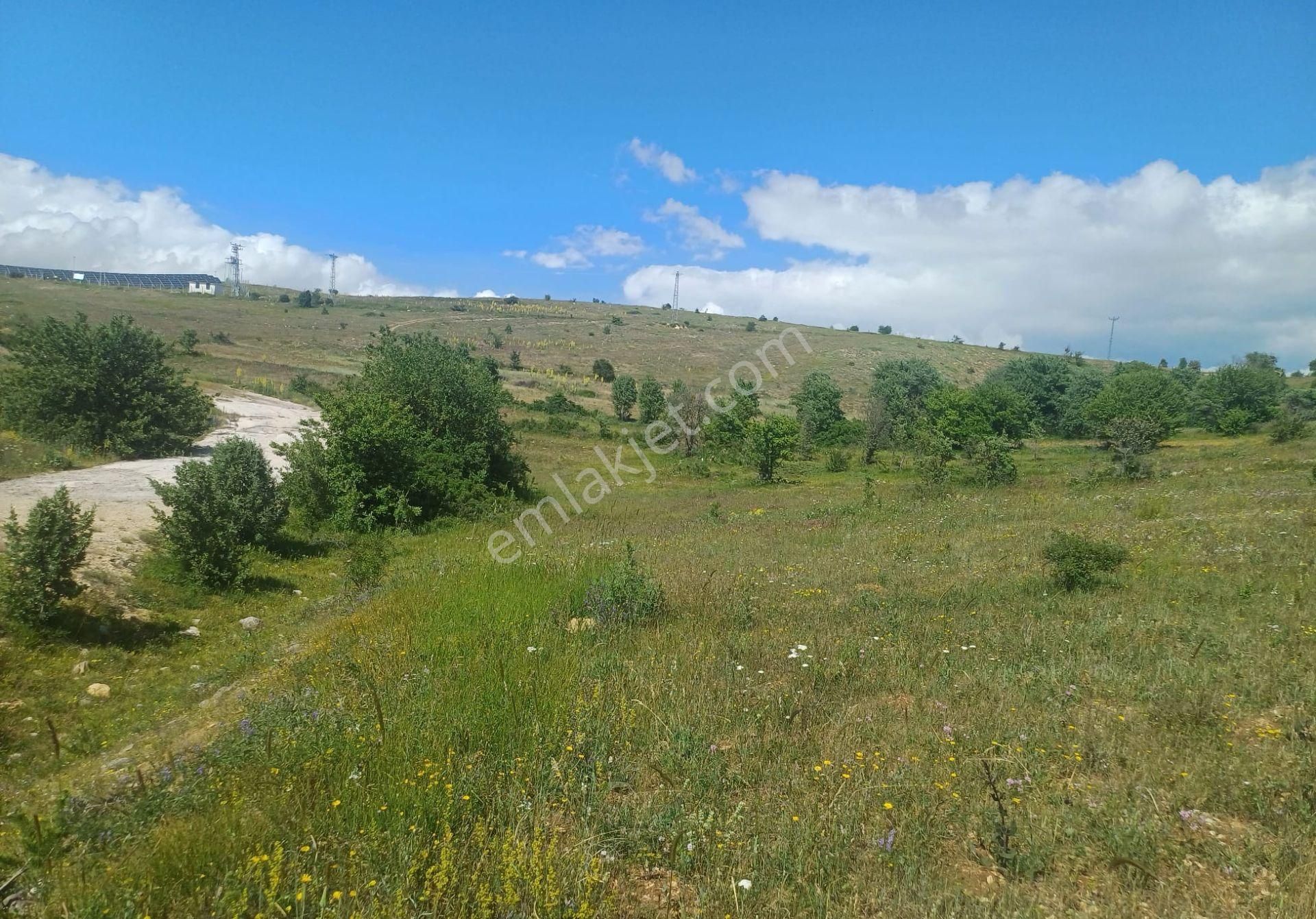 Tokat Reşadiye'de Satılık Tarla - Görsel 8