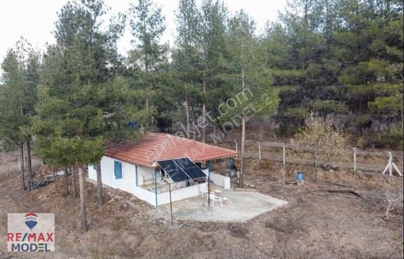 Tavas Ulukent Mahallesinde Satılık 42.882m² Ceviz Ve Bademlik - Görsel 2