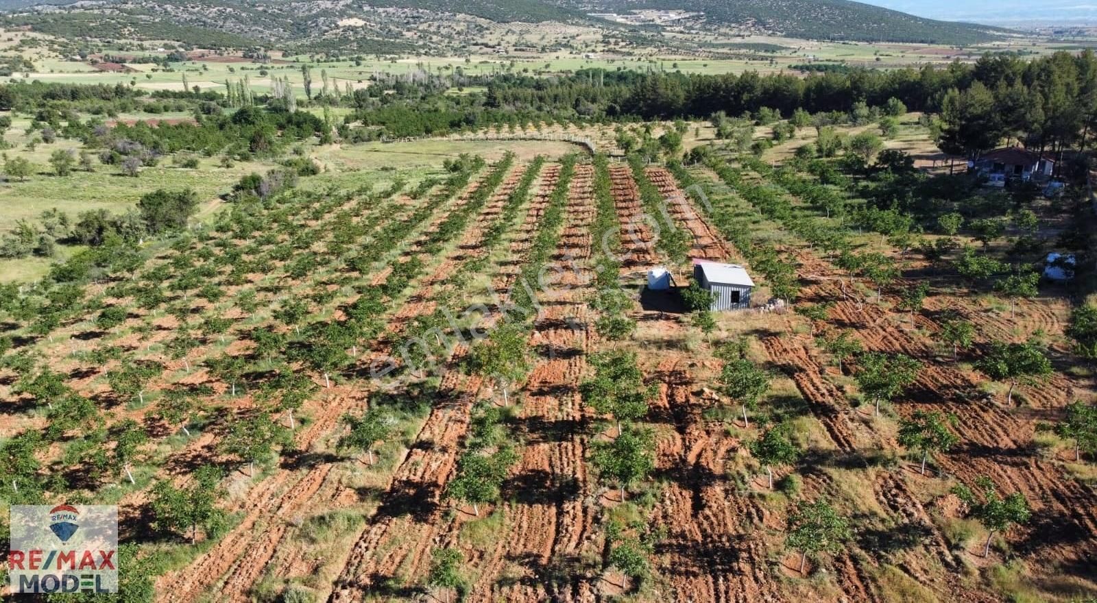 Tavas Ulukent Mahallesinde Satılık 42.882m² Ceviz Ve Bademlik - Görsel 4