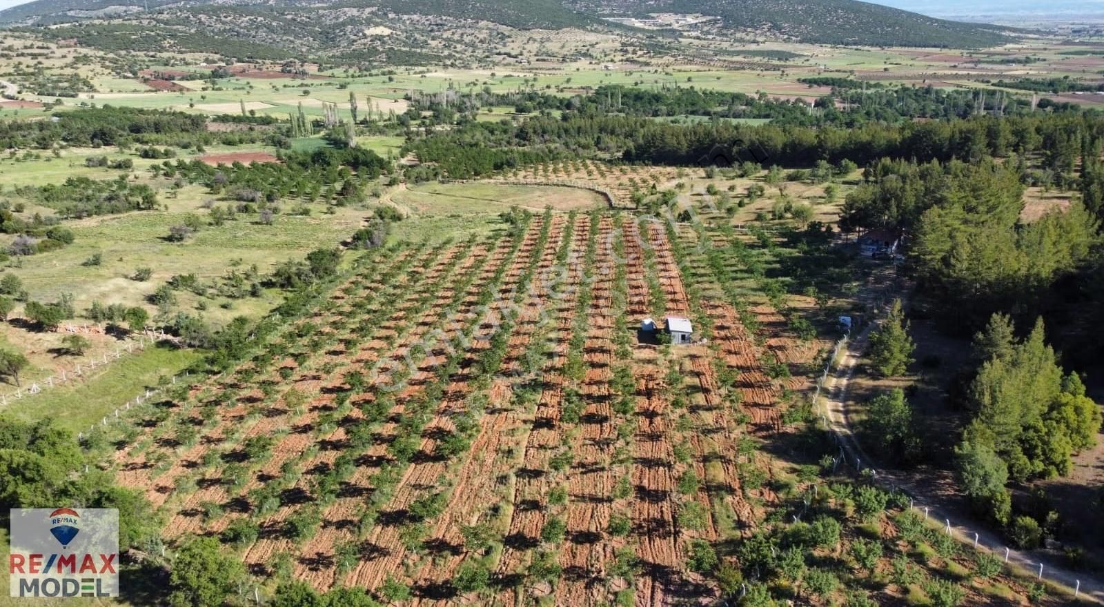Tavas Ulukent Mahallesinde Satılık 42.882m² Ceviz Ve Bademlik - Görsel 7