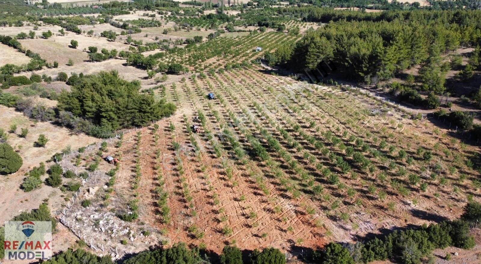 Tavas Ulukent Mahallesinde Satılık 42.882m² Ceviz Ve Bademlik