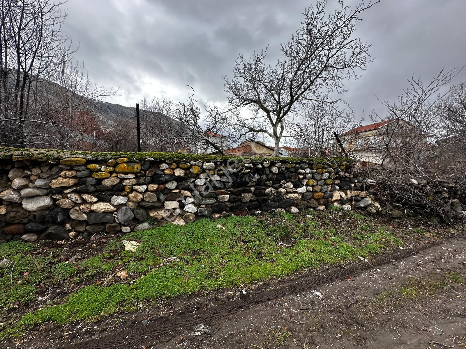 Afyonkarahisar Sandıklı'da Satılık Tarla - Görsel 4