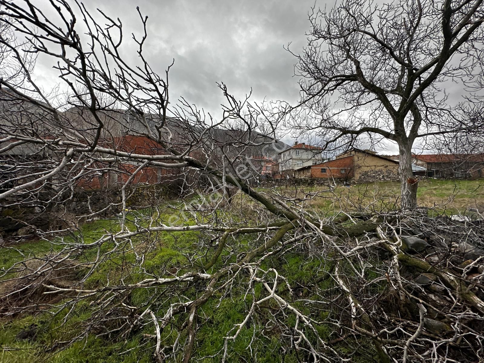 Afyonkarahisar Sandıklı'da Satılık Tarla - Görsel 5