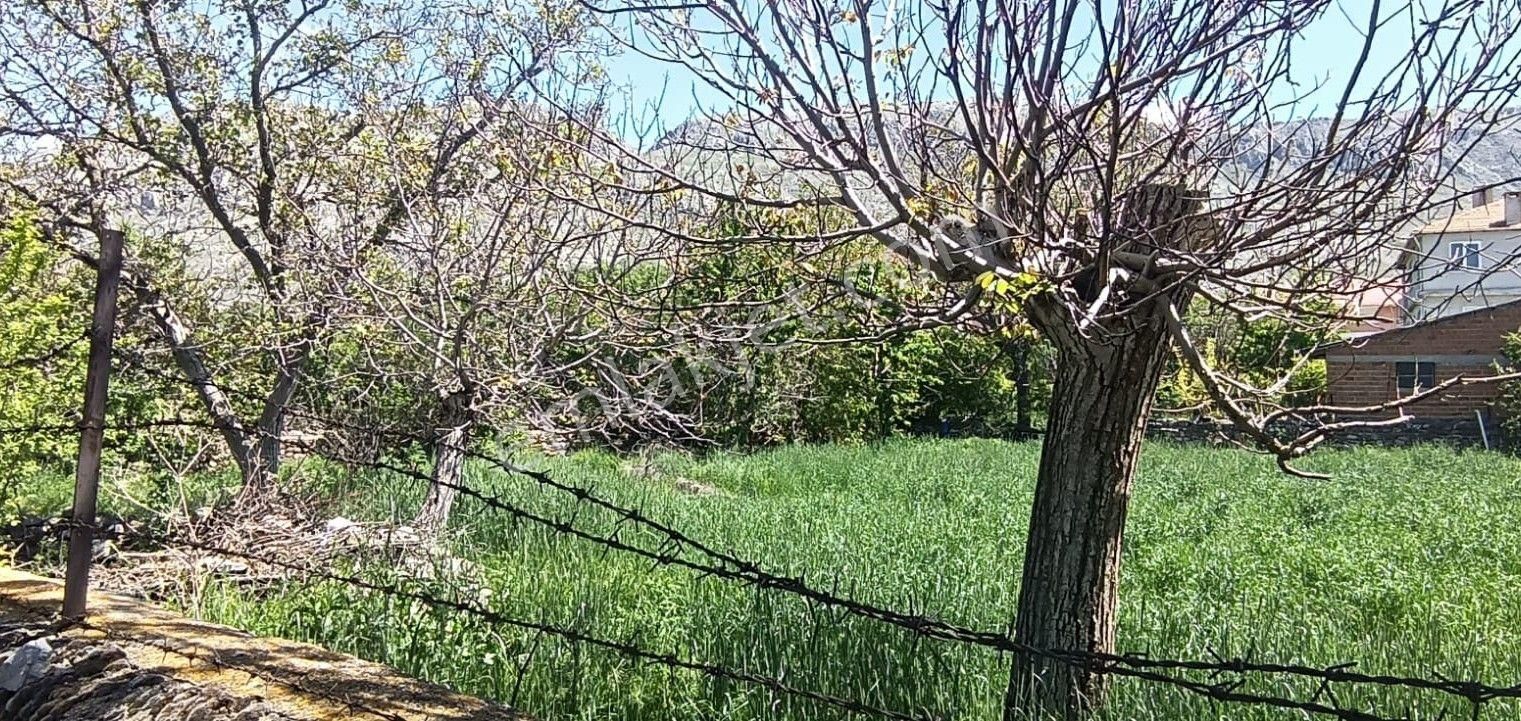 Afyonkarahisar Sandıklı'da Satılık Tarla - Görsel 31