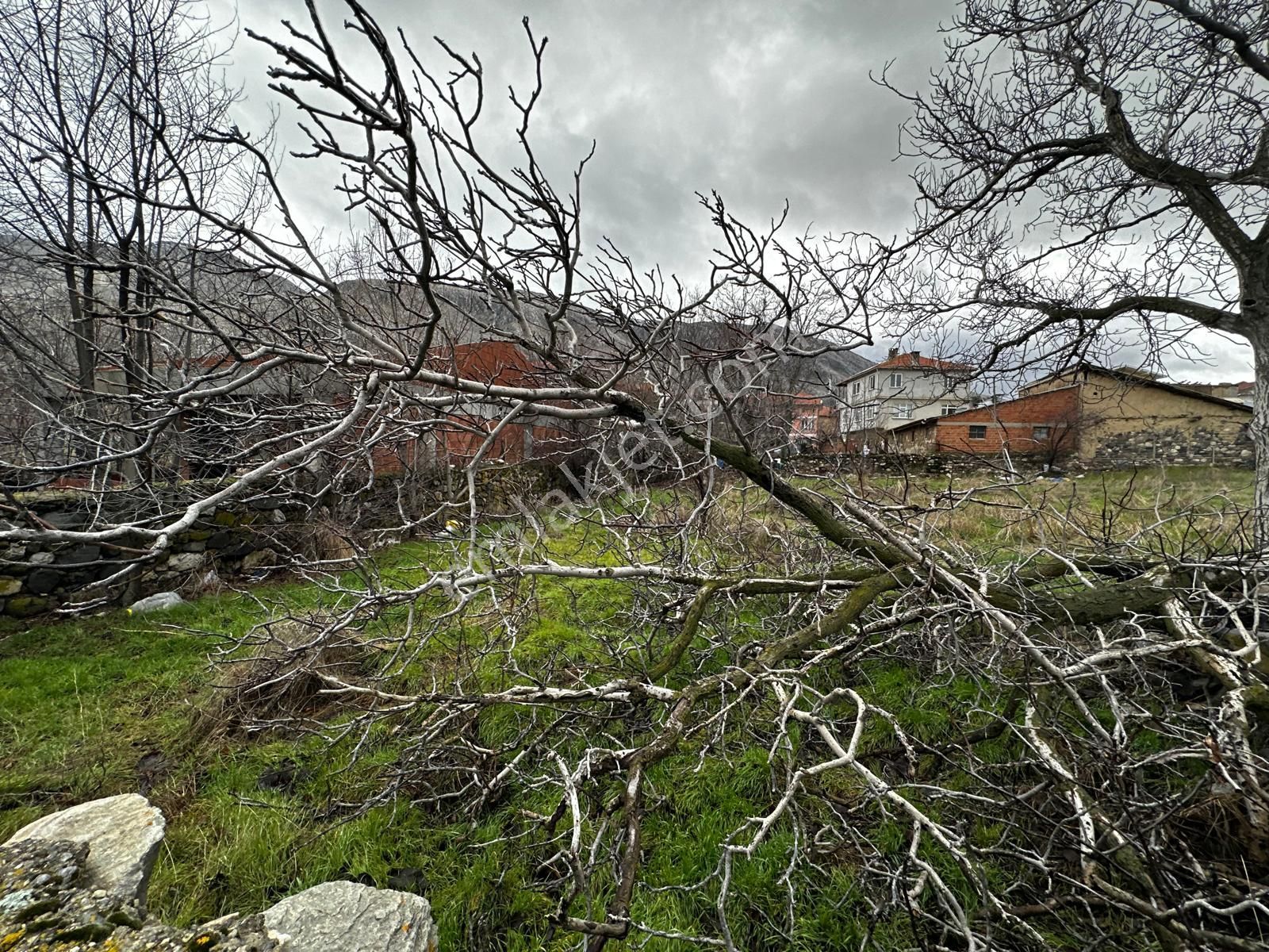 Afyonkarahisar Sandıklı'da Satılık Tarla - Görsel 8