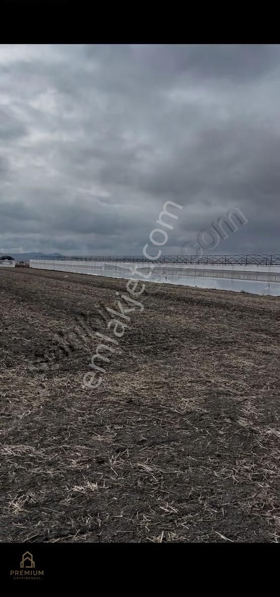 Acil - Kupon - Korkuteli Söğüt Te 15.000 Dönümde 13.600 M2 Sera - Görsel 5