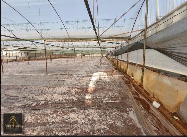 Antalya Kepezde Hazır Sera + Konut | Aktif Üretim, Anında Gelir - Görsel 7