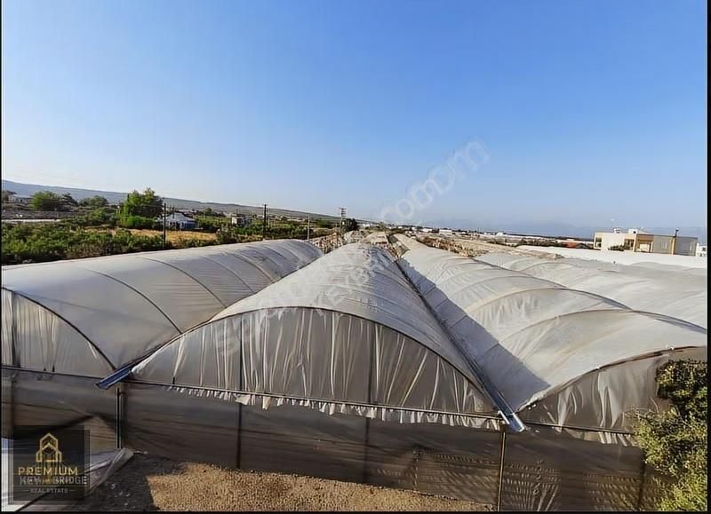 Antalya Kepezde Hazır Sera + Konut | Aktif Üretim, Anında Gelir - Görsel 28