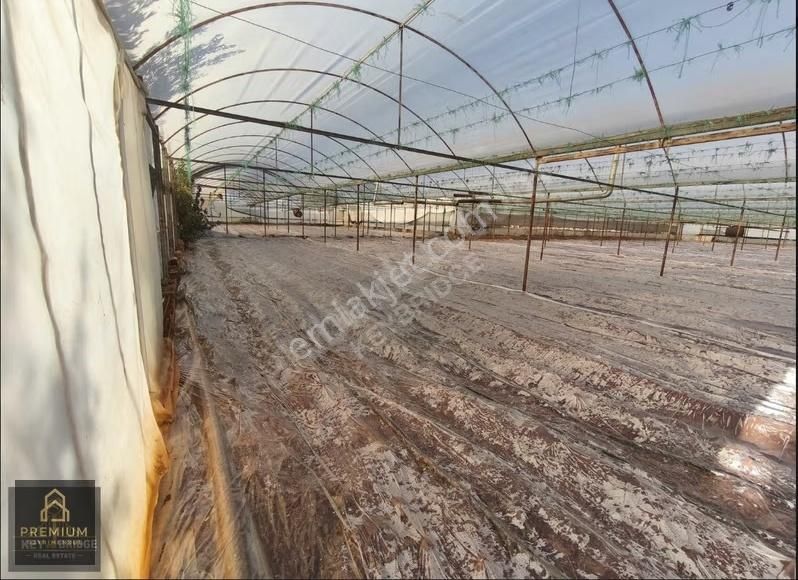 Antalya Kepezde Hazır Sera + Konut | Aktif Üretim, Anında Gelir - Görsel 26