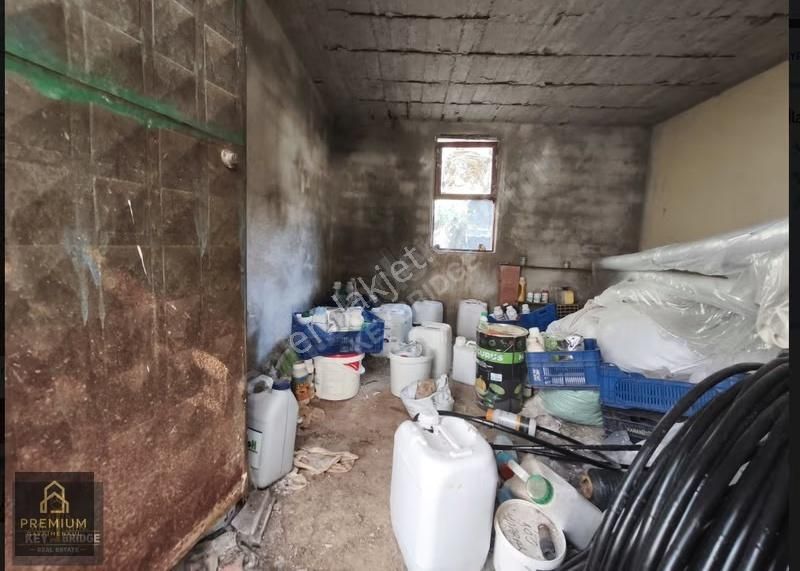 Antalya Kepezde Hazır Sera + Konut | Aktif Üretim, Anında Gelir - Görsel 25