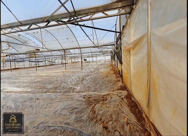 Antalya Kepezde Hazır Sera + Konut | Aktif Üretim, Anında Gelir - Görsel 24