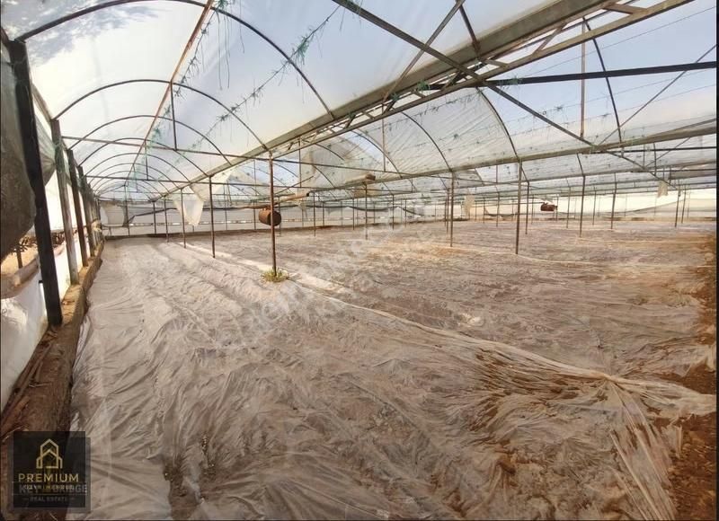 Antalya Kepezde Hazır Sera + Konut | Aktif Üretim, Anında Gelir - Görsel 5