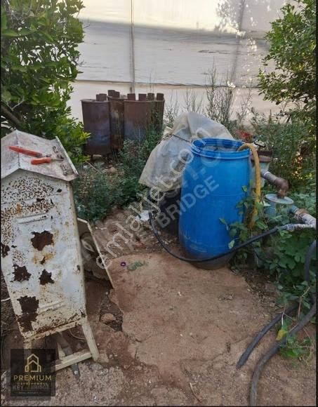 Antalya Kepezde Hazır Sera + Konut | Aktif Üretim, Anında Gelir - Görsel 8