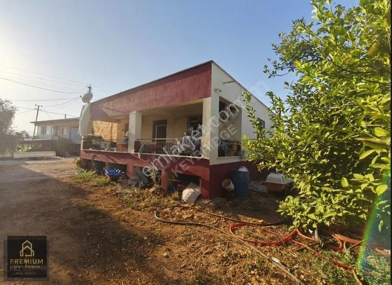 Antalya Kepezde Hazır Sera + Konut | Aktif Üretim, Anında Gelir - Görsel 20