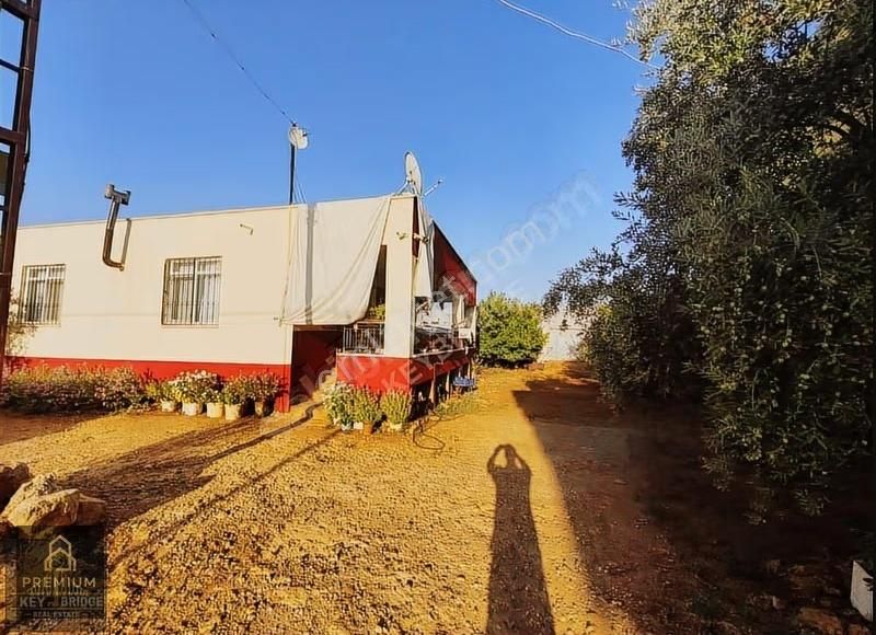 Antalya Kepezde Hazır Sera + Konut | Aktif Üretim, Anında Gelir - Görsel 23